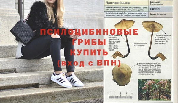 шишки Елабуга