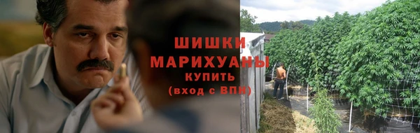шишки Елабуга