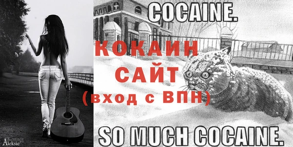 шишки Елабуга