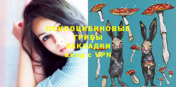 бутират Ельня