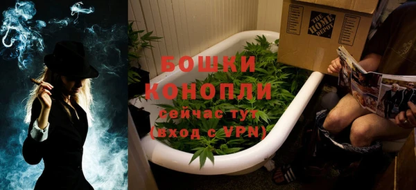 шишки Елабуга