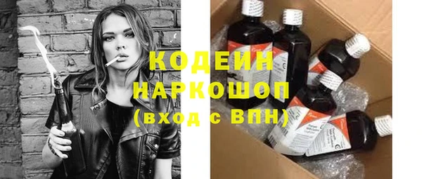 шишки Елабуга